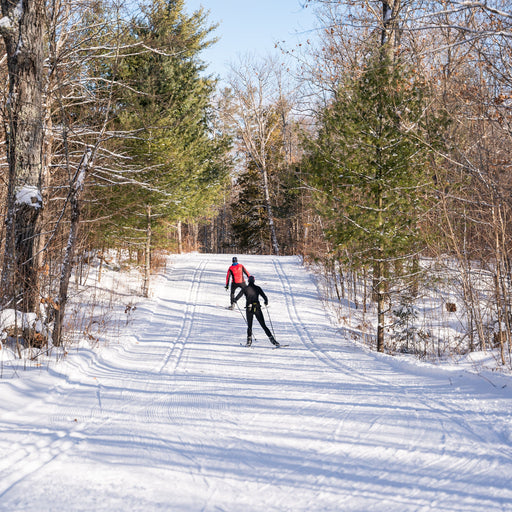 Glide On! Your Guide to Nordic Ski Waxing for Performance & Pleasure