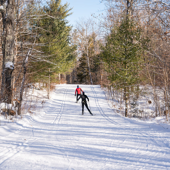 Glide On! Your Guide to Nordic Ski Waxing for Performance & Pleasure
