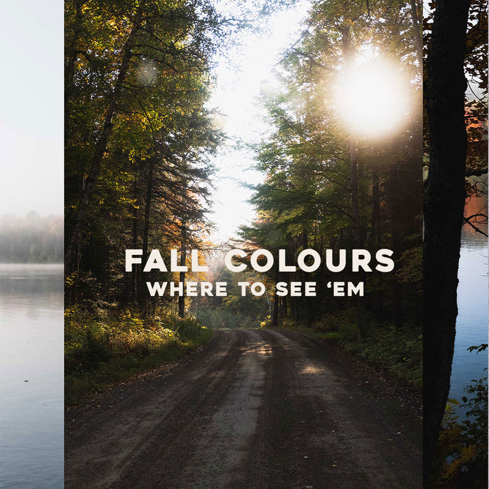 Fall Colours In The Kawarthas