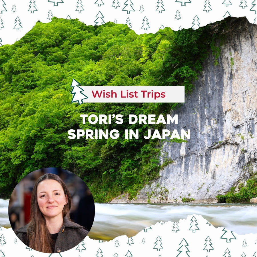 Wish List Trips: Tori’s Dream Spring in Japan