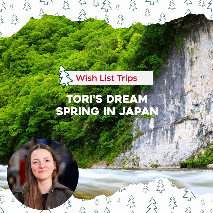 Wish List Trips: Tori’s Dream Spring in Japan