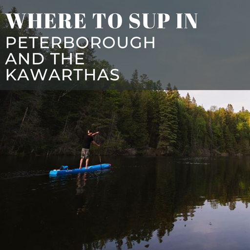 Where to SUP in Peterborough and the Kawarthas