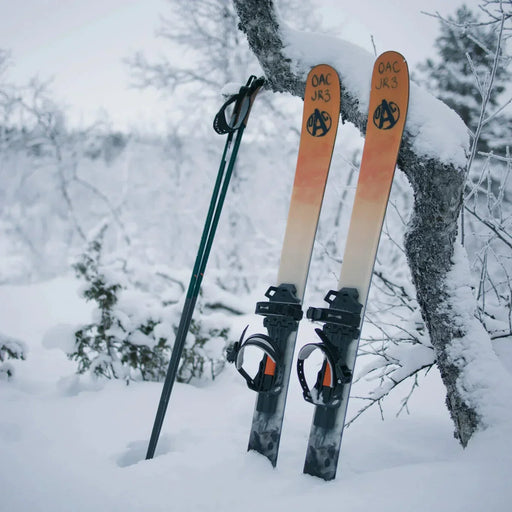 Why choose a skin based ski over Snowshoes/Nordic skis