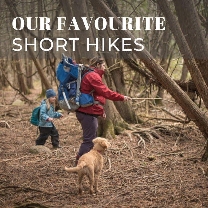 Our Favourite Trails in the Kawarthas | Wild Rock Outfitters
