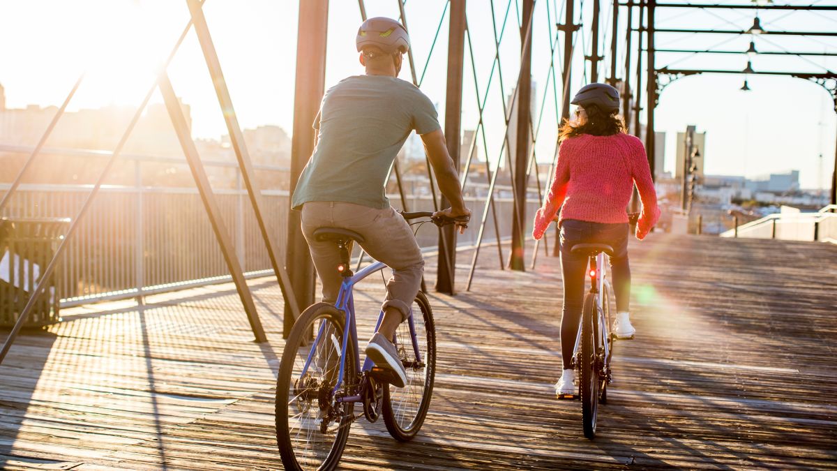 Hybrid Bikes