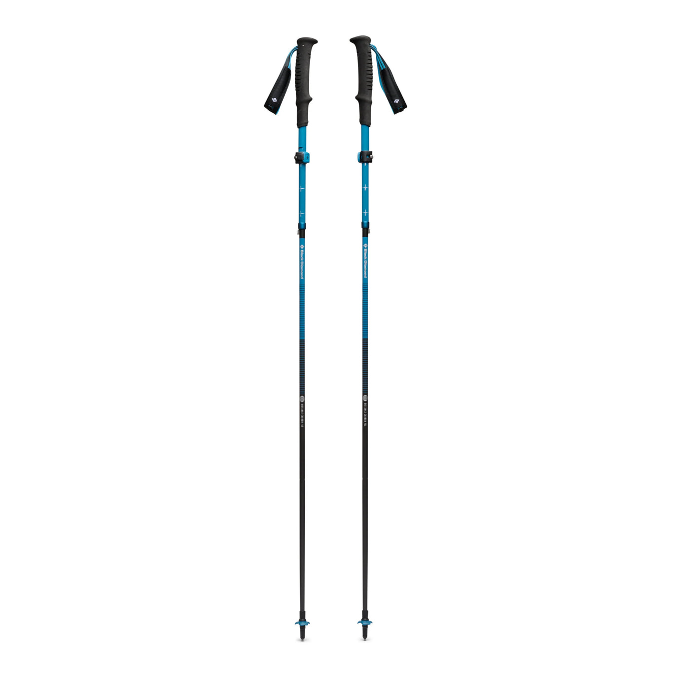Snowshoe Poles