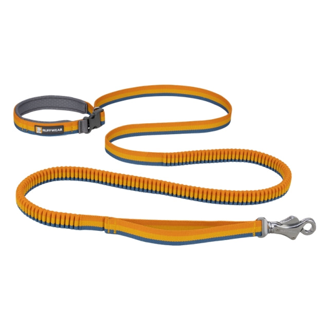 Roamer Leash