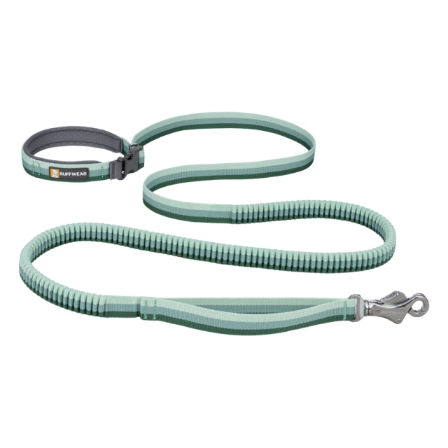 Roamer Leash