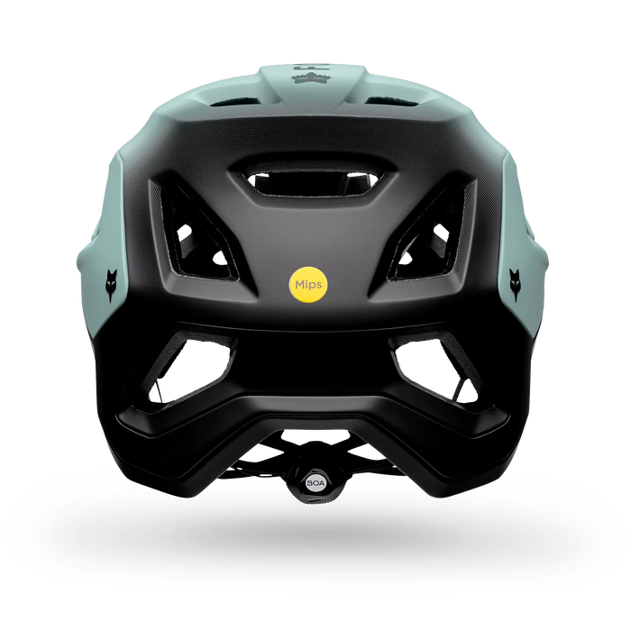 Speedframe Pro Backfade