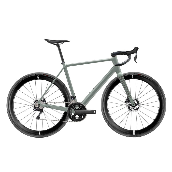 Surveyor Shimano Ultegra Di2 8100