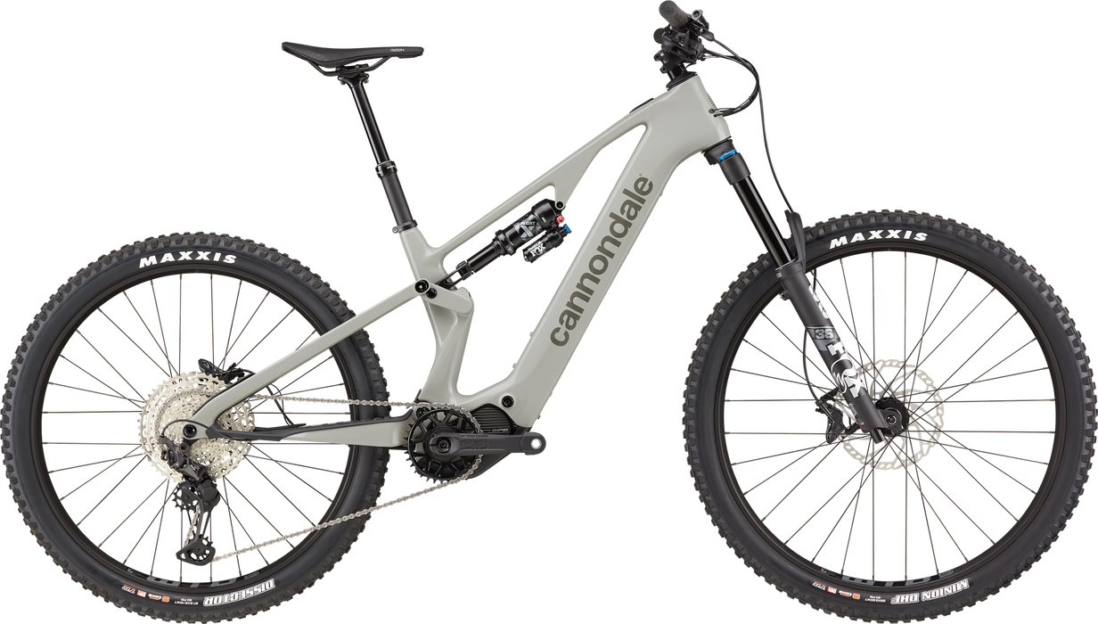 Rental Pedal Assist Mountain Bikes
