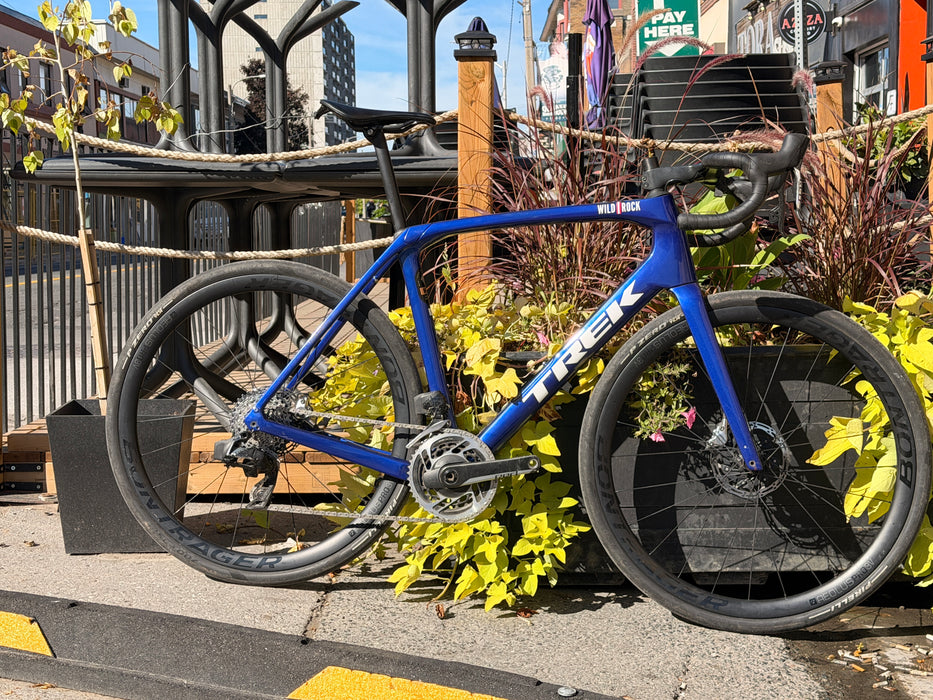 2025 Domane SL SRAM Red 58cm
