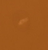 Adapted State High-Rise Cropped Jogger