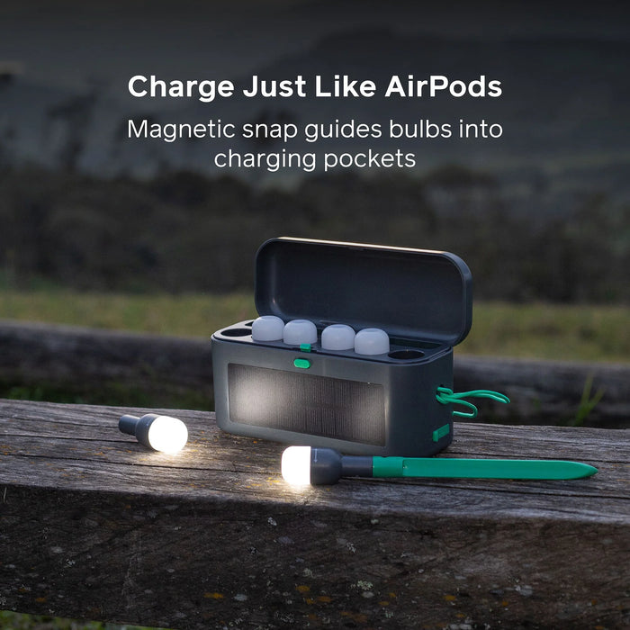 Site Lights