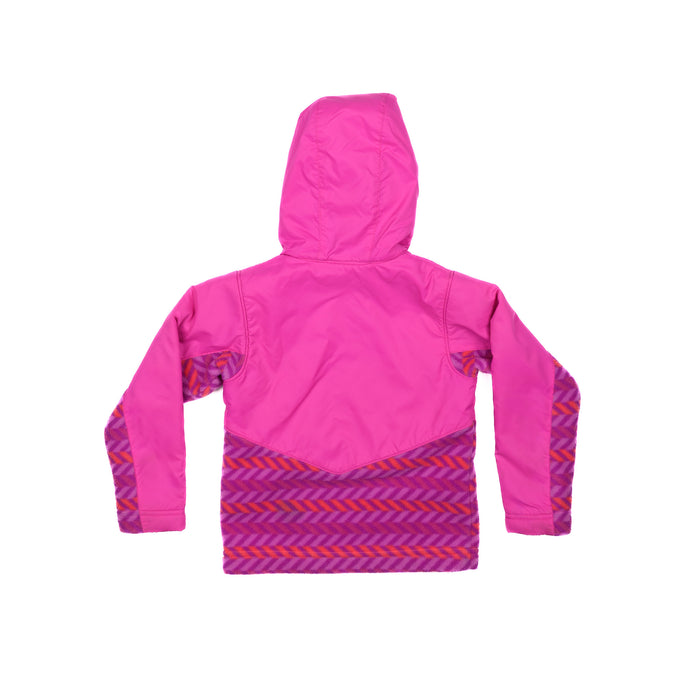 Kids' Toddler Steens Mt  Overlay Hoodie