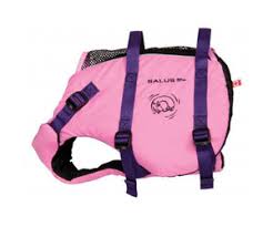 Skippy Dog PFD