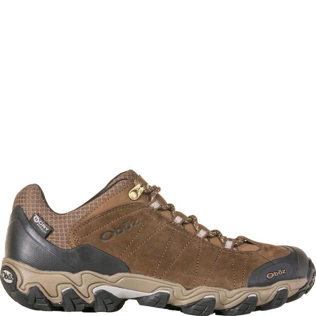 Men's Bridger Low Waterproof Hiking Boot