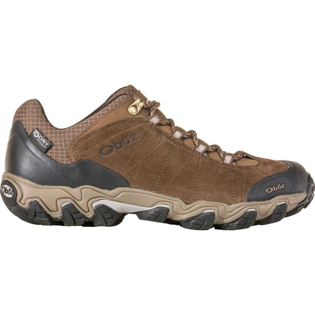 Men's Bridger Low Waterproof Hiking Boot